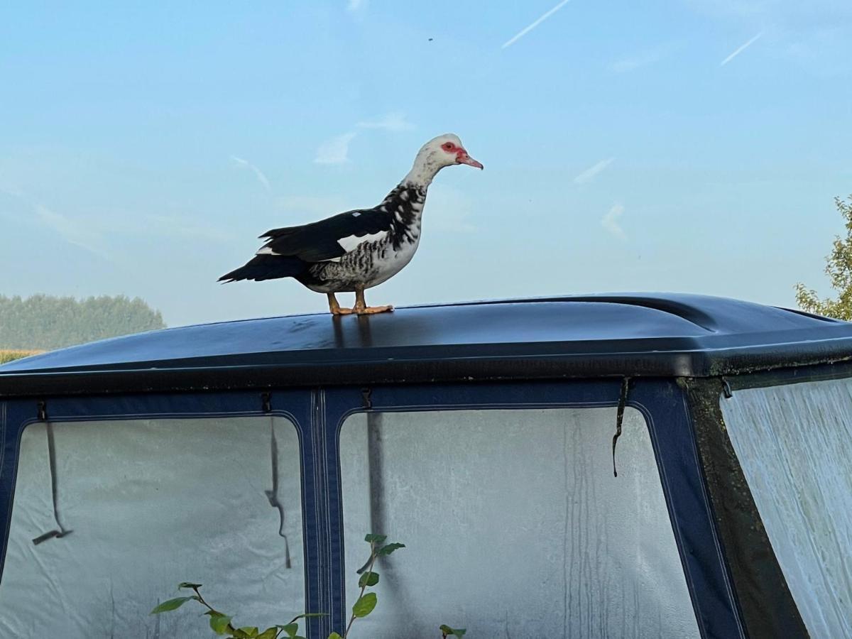 Parel van Bever - Perle de Biévène Exterior foto